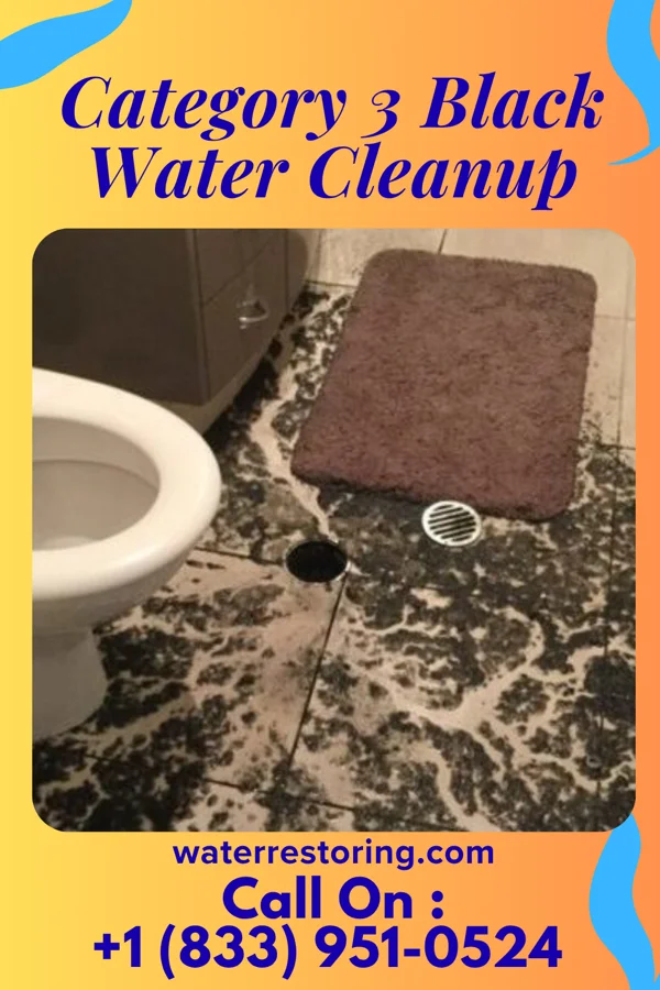 Category 3 Black Water Cleanup in South Blooming Grove, NY