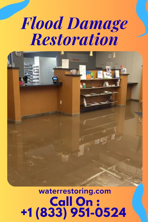 Flood Damage Restoration in South Blooming Grove, NY