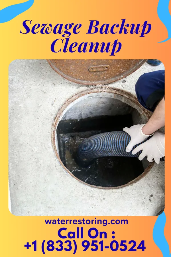 Sewage Backup Cleanup in South Blooming Grove, NY